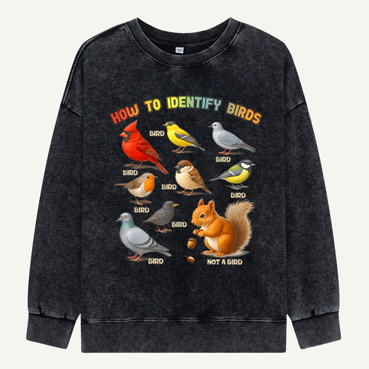 How to Identify Birds Washed Sweatshirts