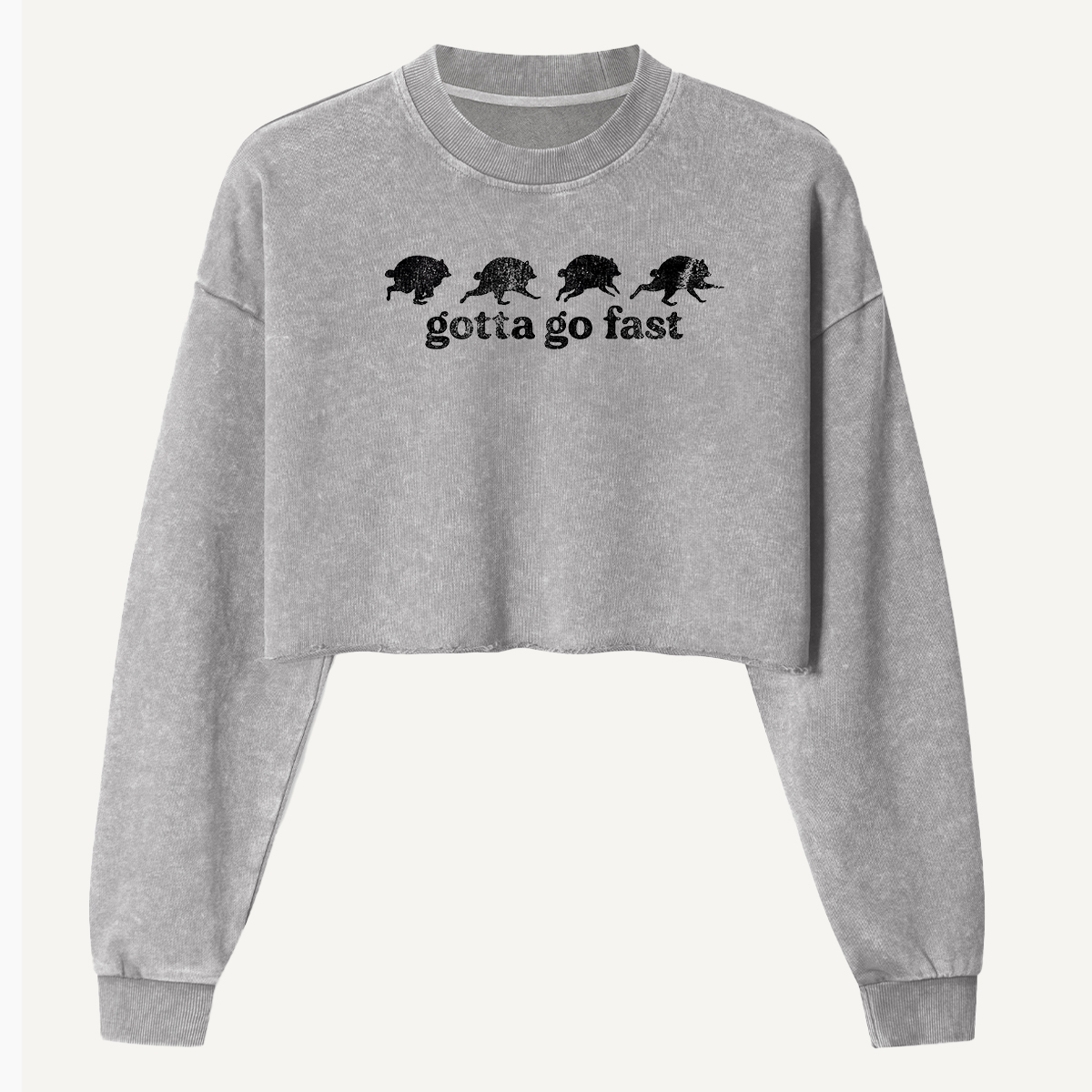 Gotta Go Fast Armadillo Parade Women's Washed Cropped Sweatshirt