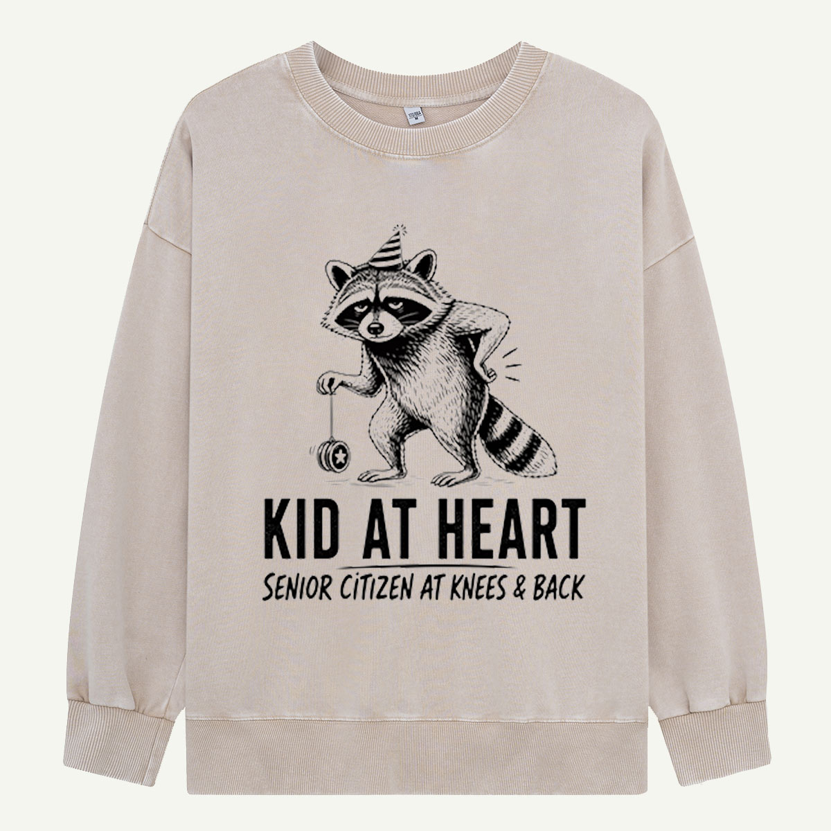 Kid at Heart Raccoon Club Washed Sweatshirts