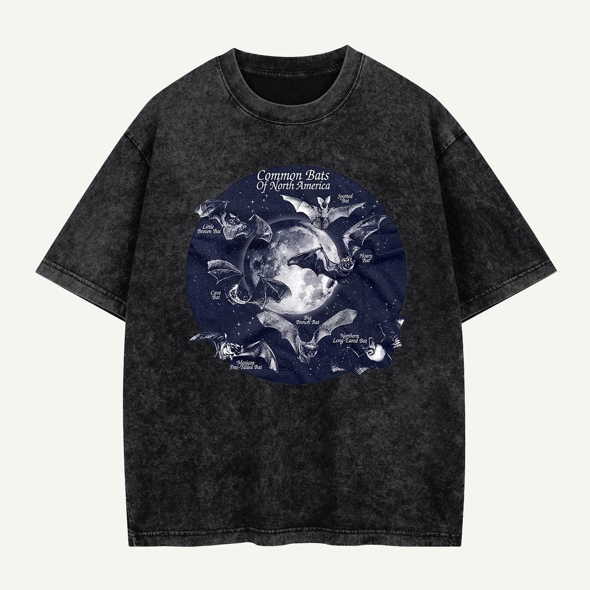 Bats of North America After Dark Washed T-Shirt