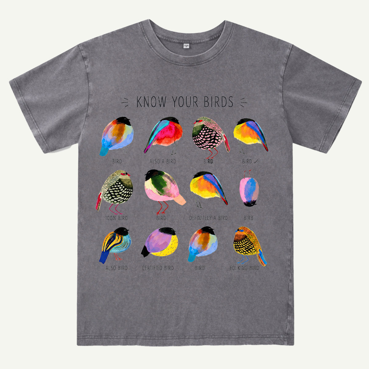 Colorful Bird Guide Washed T-Shirt