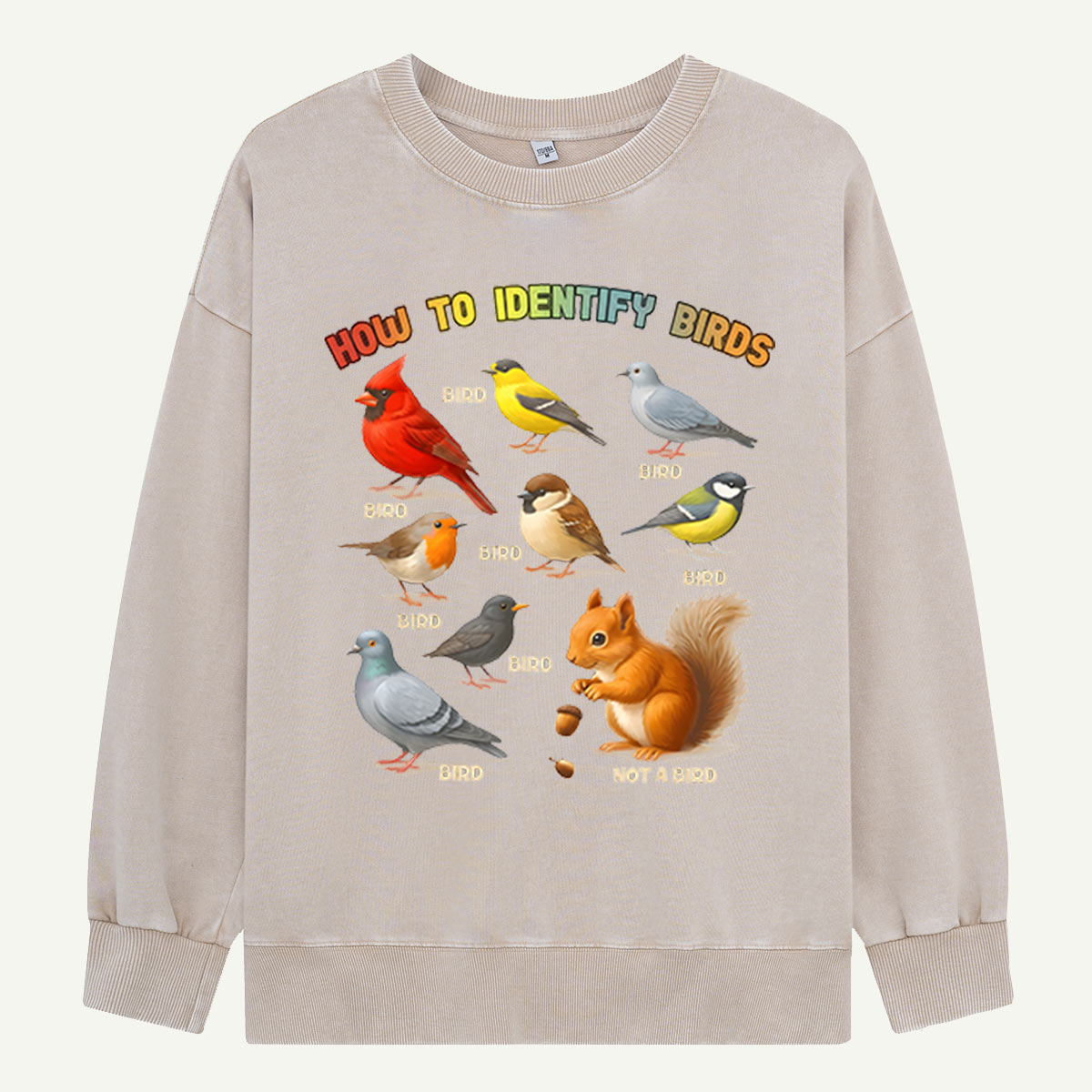 How to Identify Birds Washed Sweatshirts