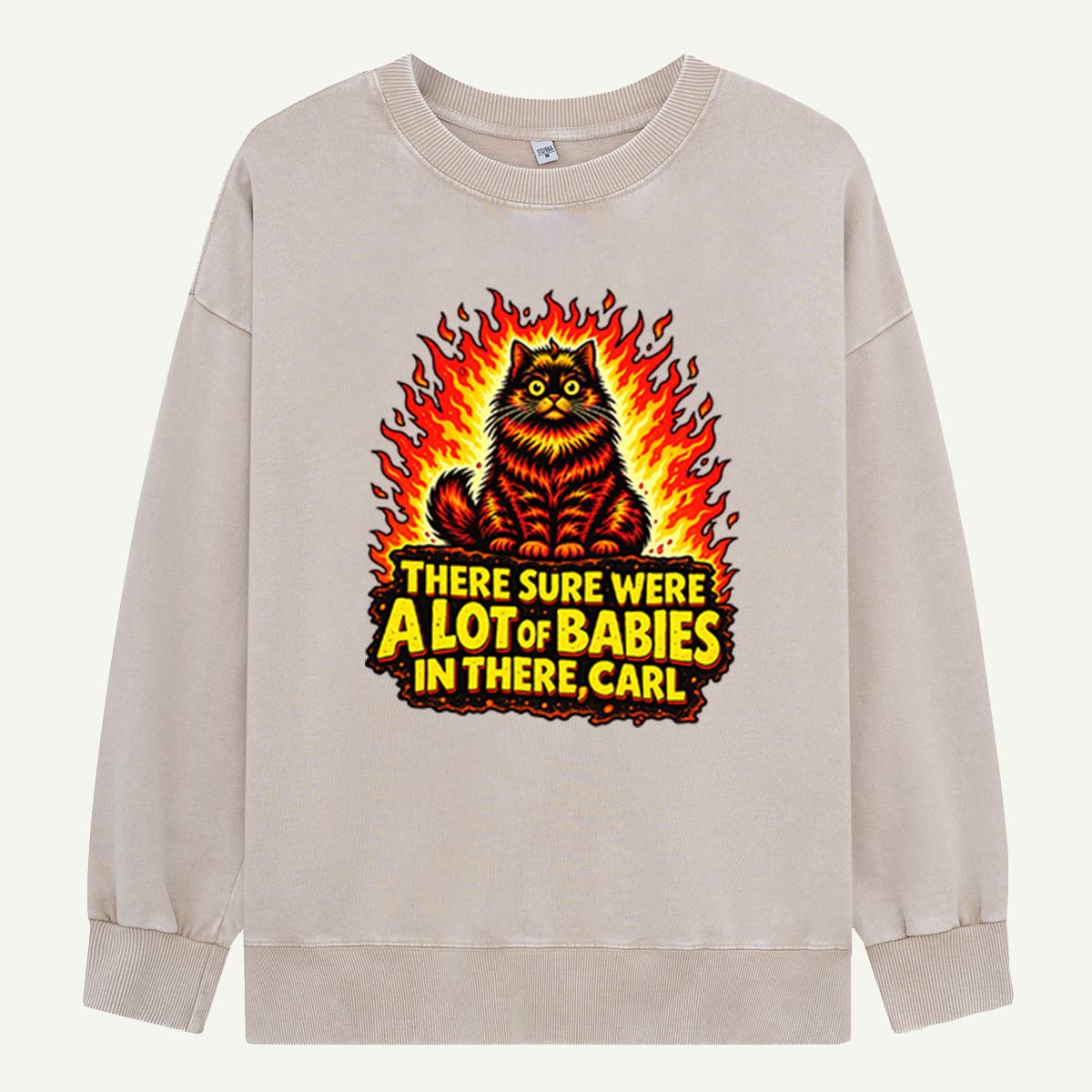 There Could Be A Lot Of Babies In There Carl Flaming Cat Humor Washed Sweatshirts