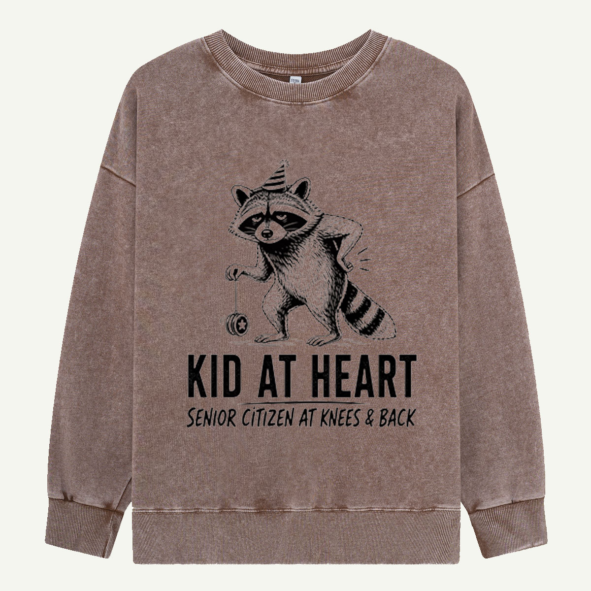 Kid at Heart Raccoon Club Washed Sweatshirts