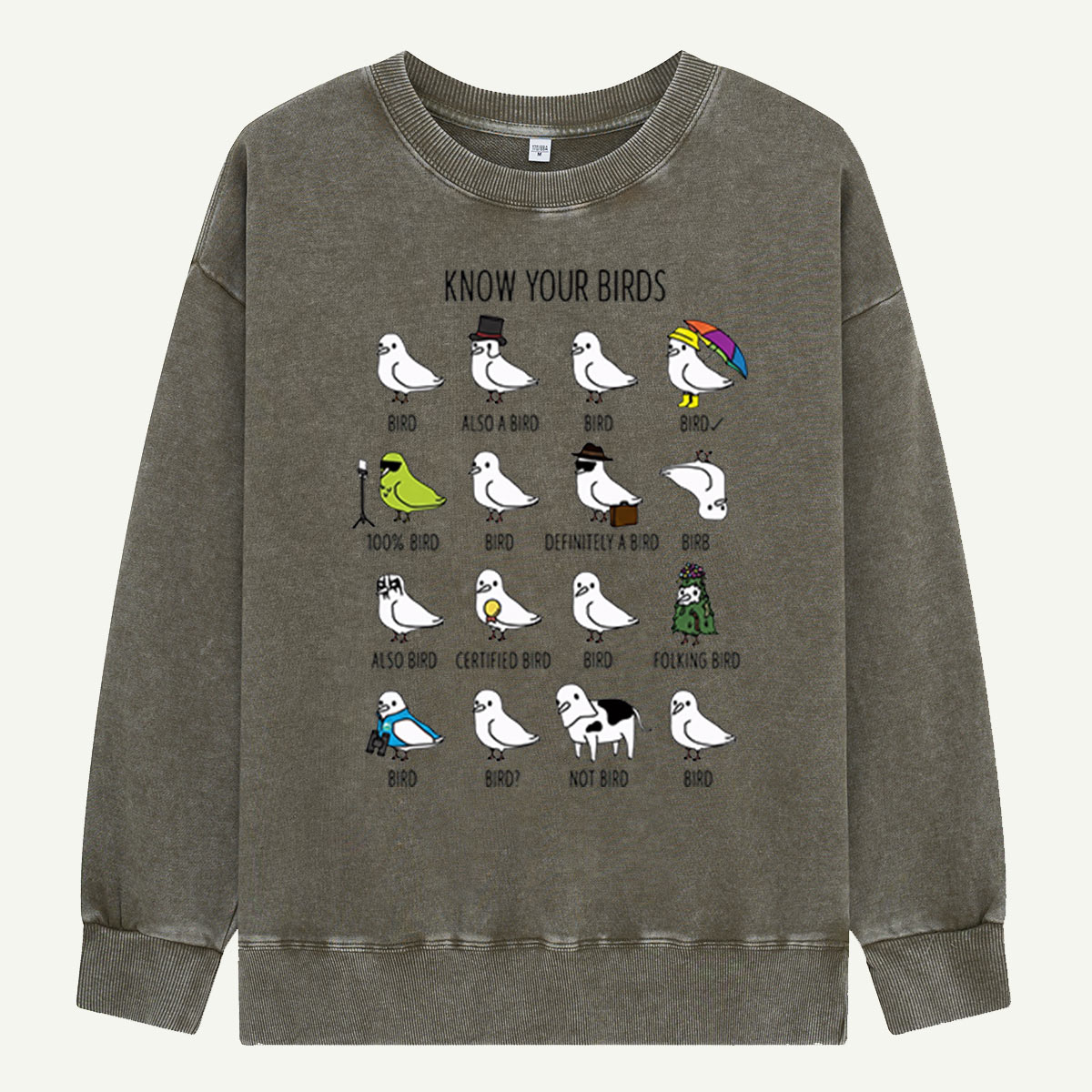 Know Your Birds Bird Chart Washed Sweatshirts