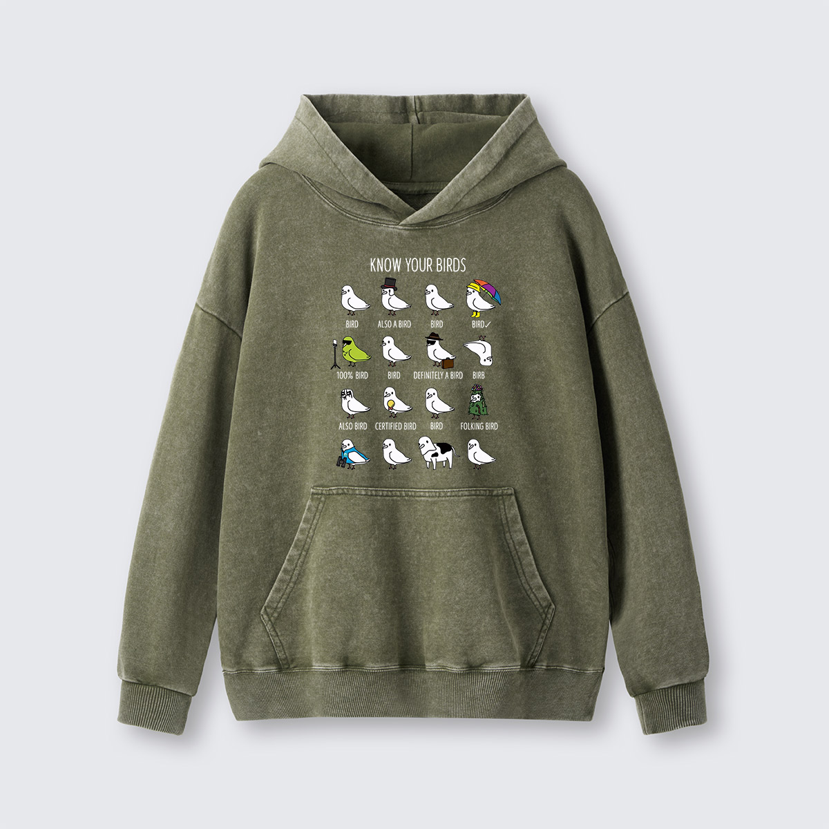Know Your Birds Bird Chart Washed Hoodie