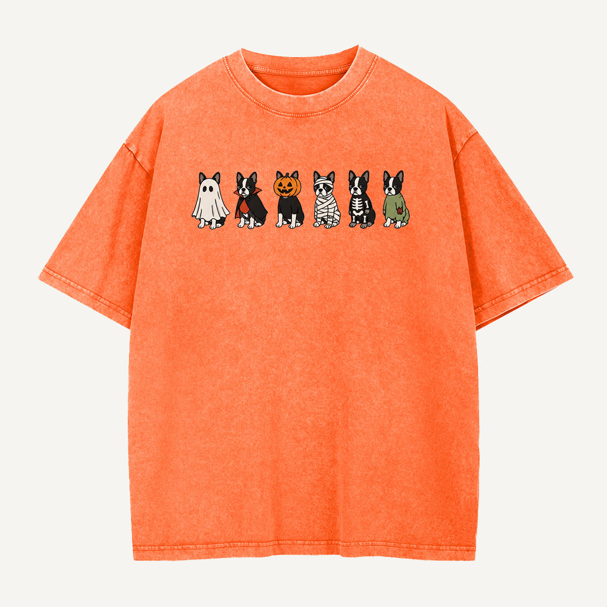 Halloween Costume Crew Washed T-Shirt