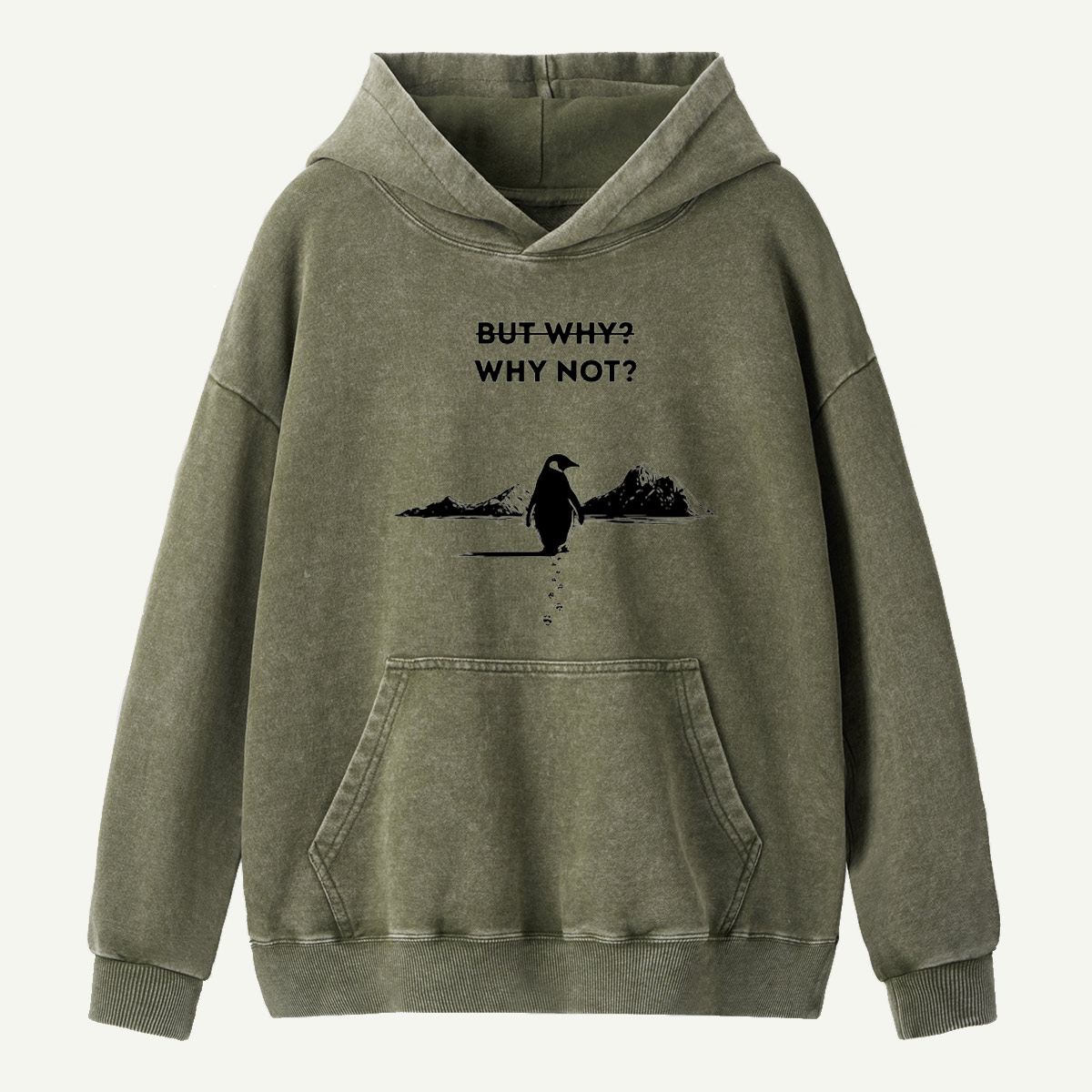 But Why Why Not Penguin Adventure Washed Hoodie