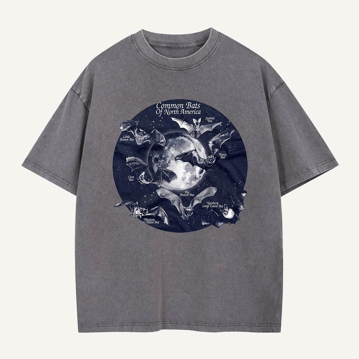 Bats of North America After Dark Washed T-Shirt