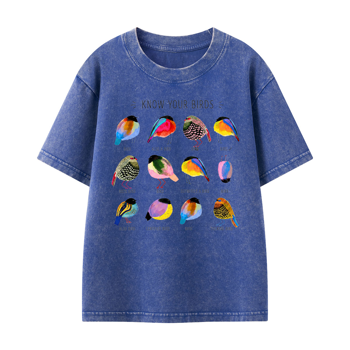 Colorful Bird Guide Kids Washed T-Shirt