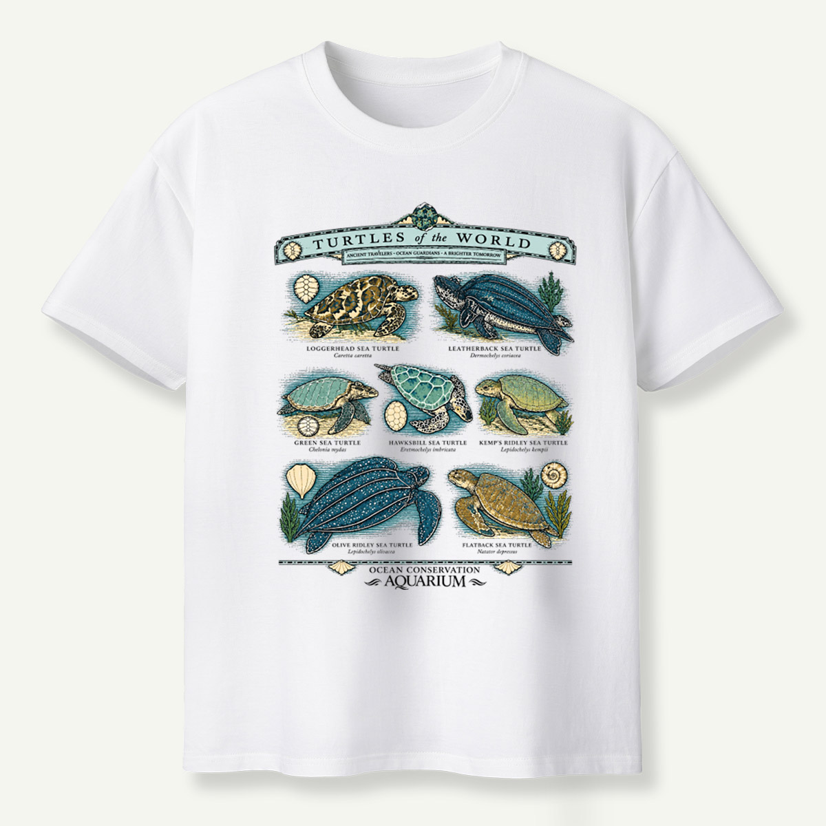 Turtles Of The World Ocean Conservation Field Guide T-Shirt