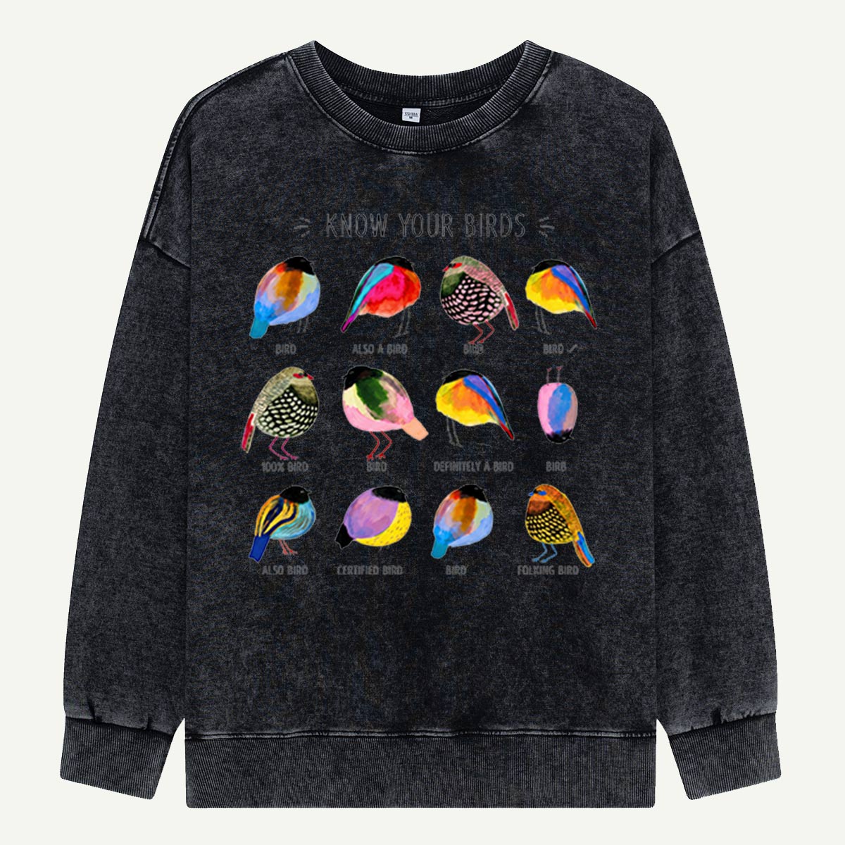 Colorful Bird Guide Washed Sweatshirts