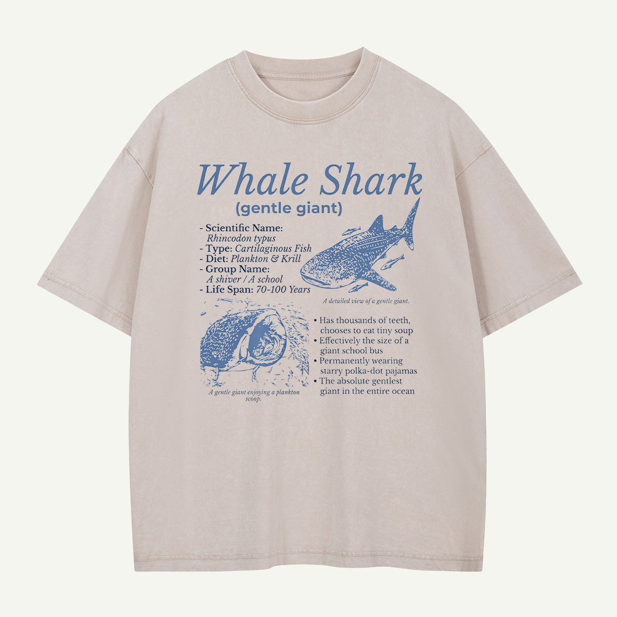 Meet the Gentle Giant Whale Shark Washed T-Shirt
