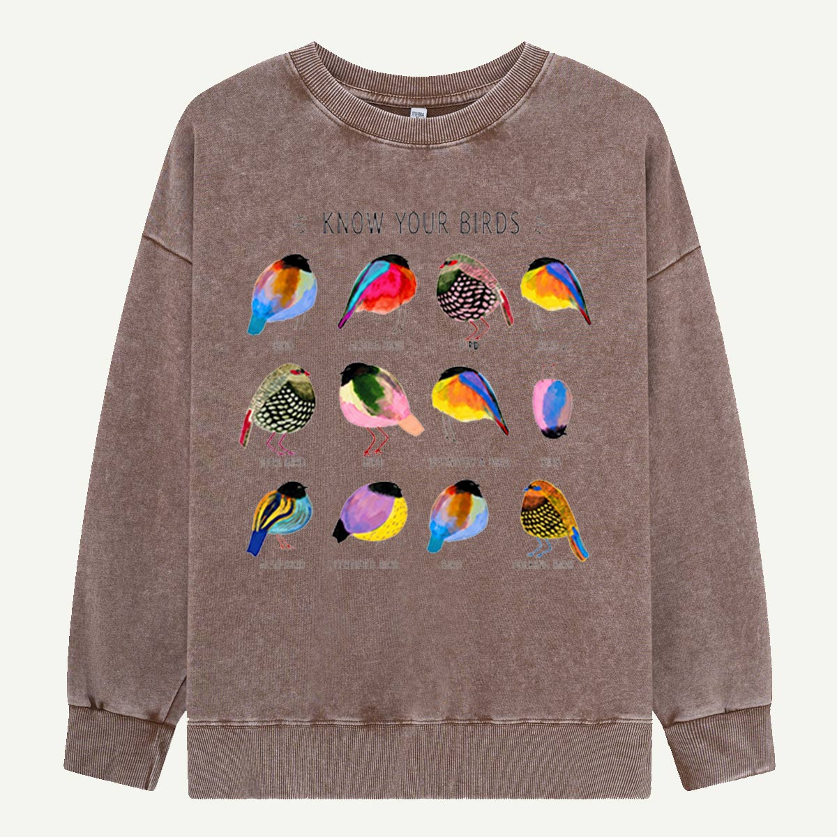 Colorful Bird Guide Washed Sweatshirts