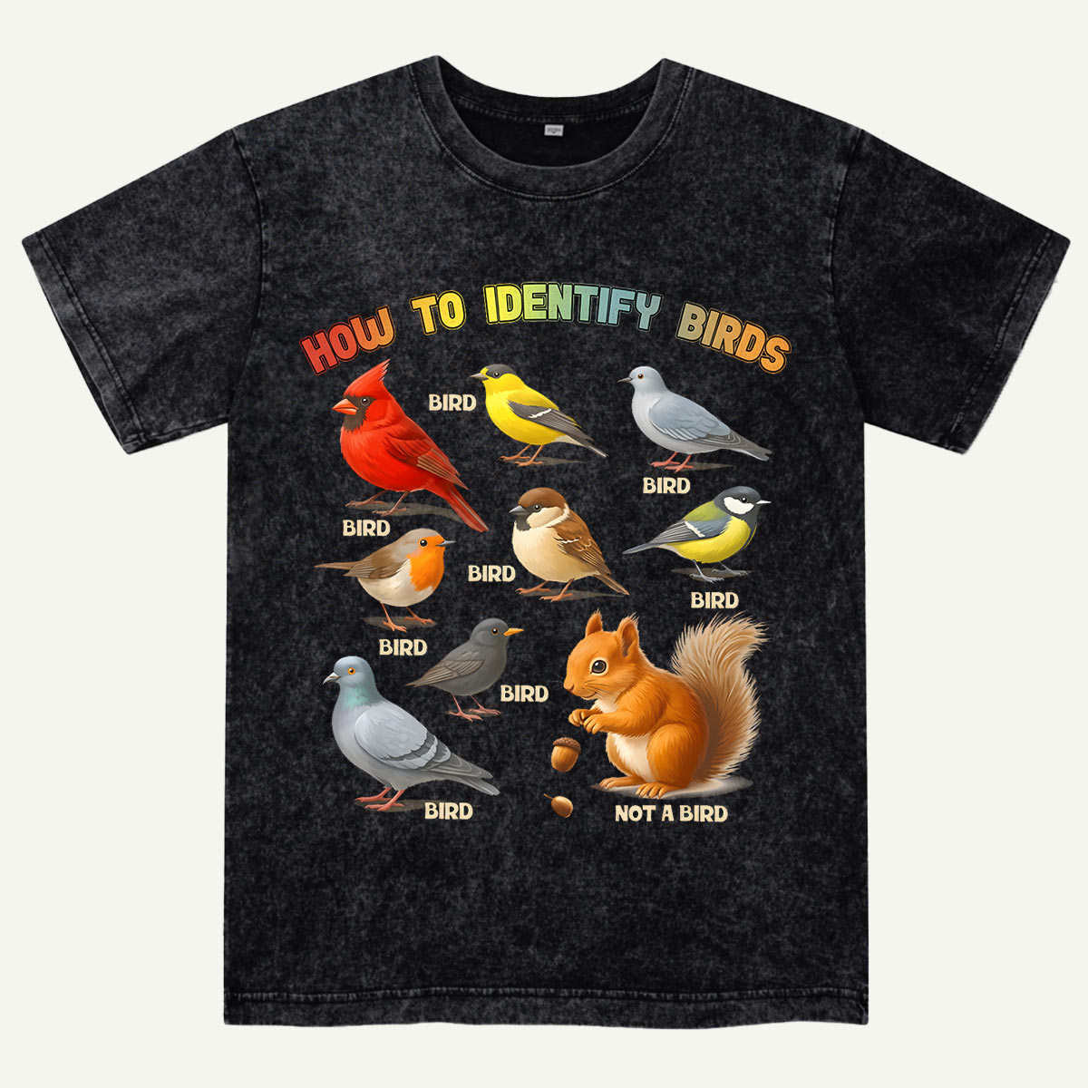How to Identify Birds Washed T-Shirt