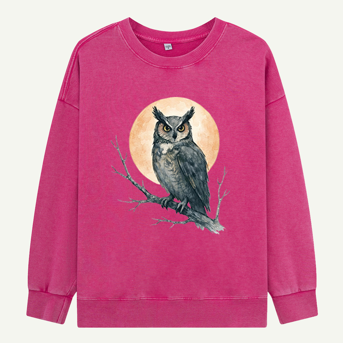 Twilight Owl Washed Sweatshirts