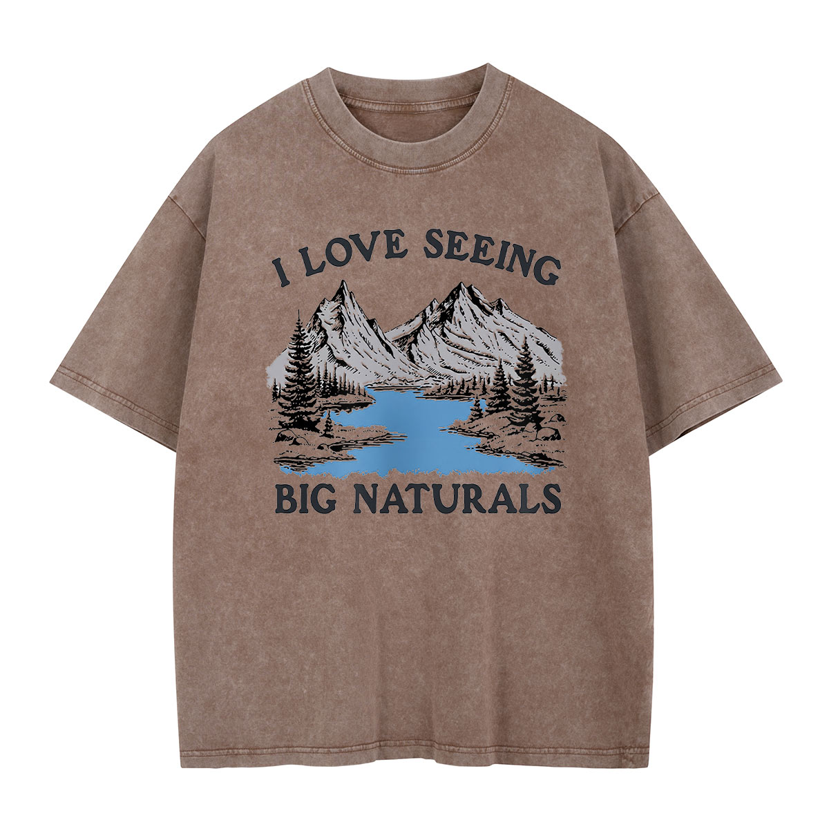 Big Naturals Mountain View Washed T-Shirt