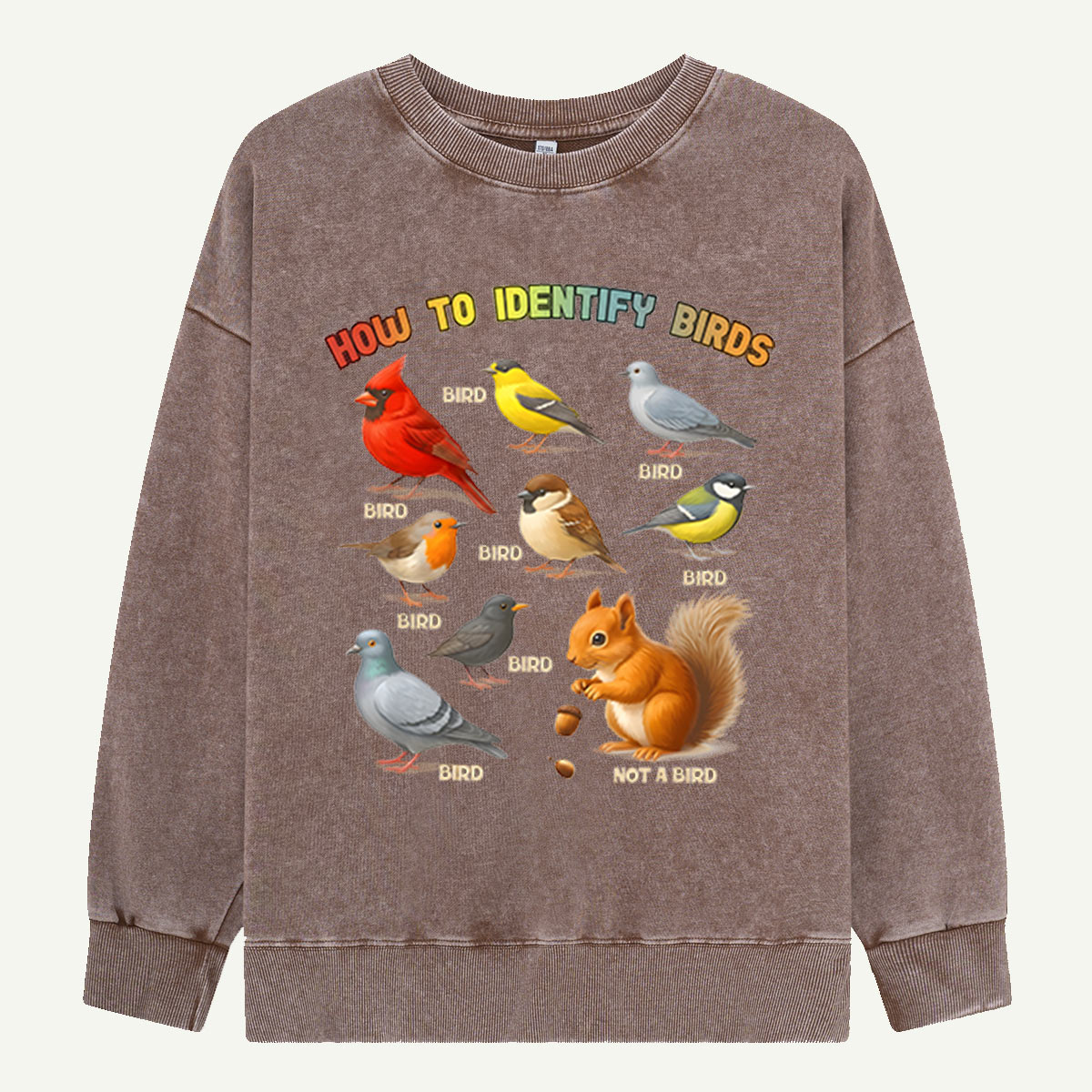 How to Identify Birds Washed Sweatshirts