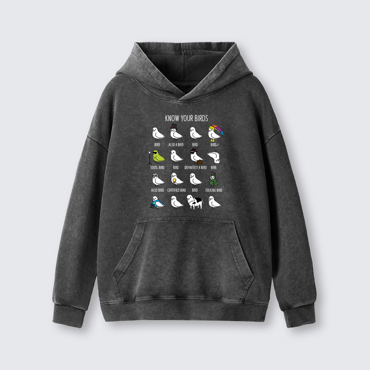 Know Your Birds Bird Chart Washed Hoodie