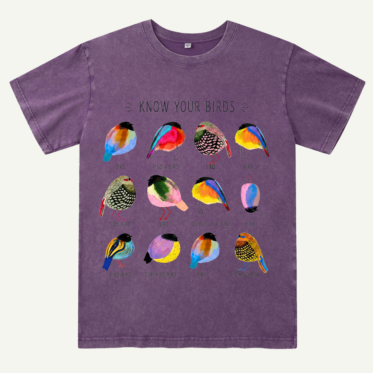 Colorful Bird Guide Washed T-Shirt