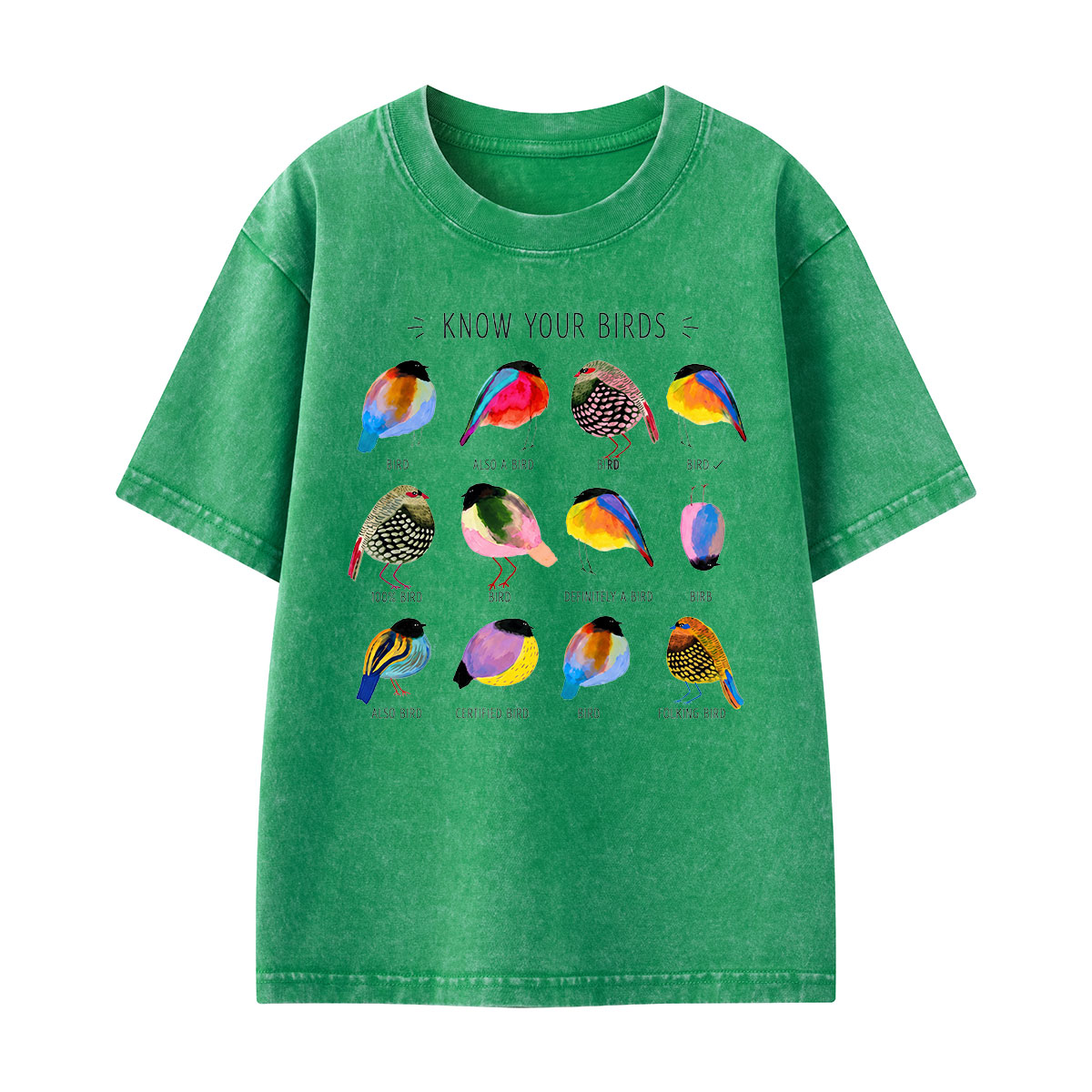 Colorful Bird Guide Kids Washed T-Shirt