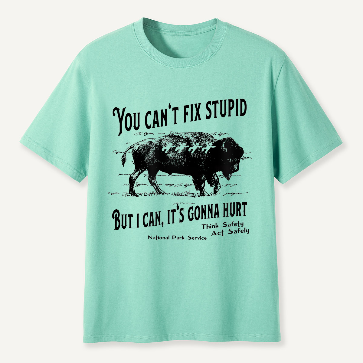You Can’t Fix Stupid Bison Safety Warning T-Shirt