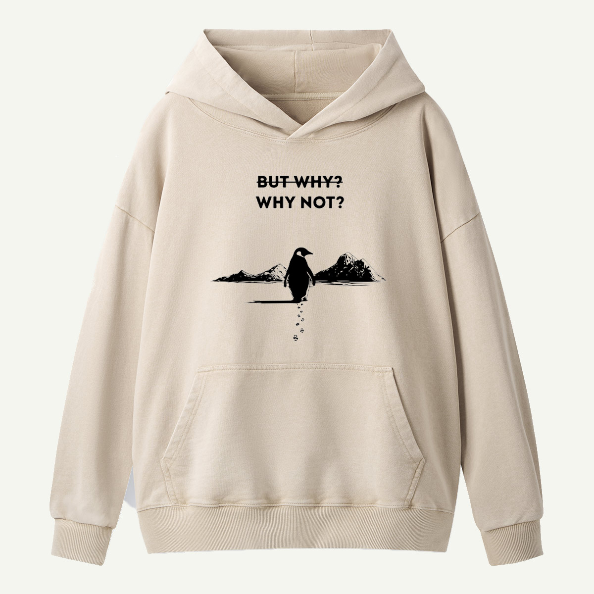 But Why Why Not Penguin Adventure Washed Hoodie