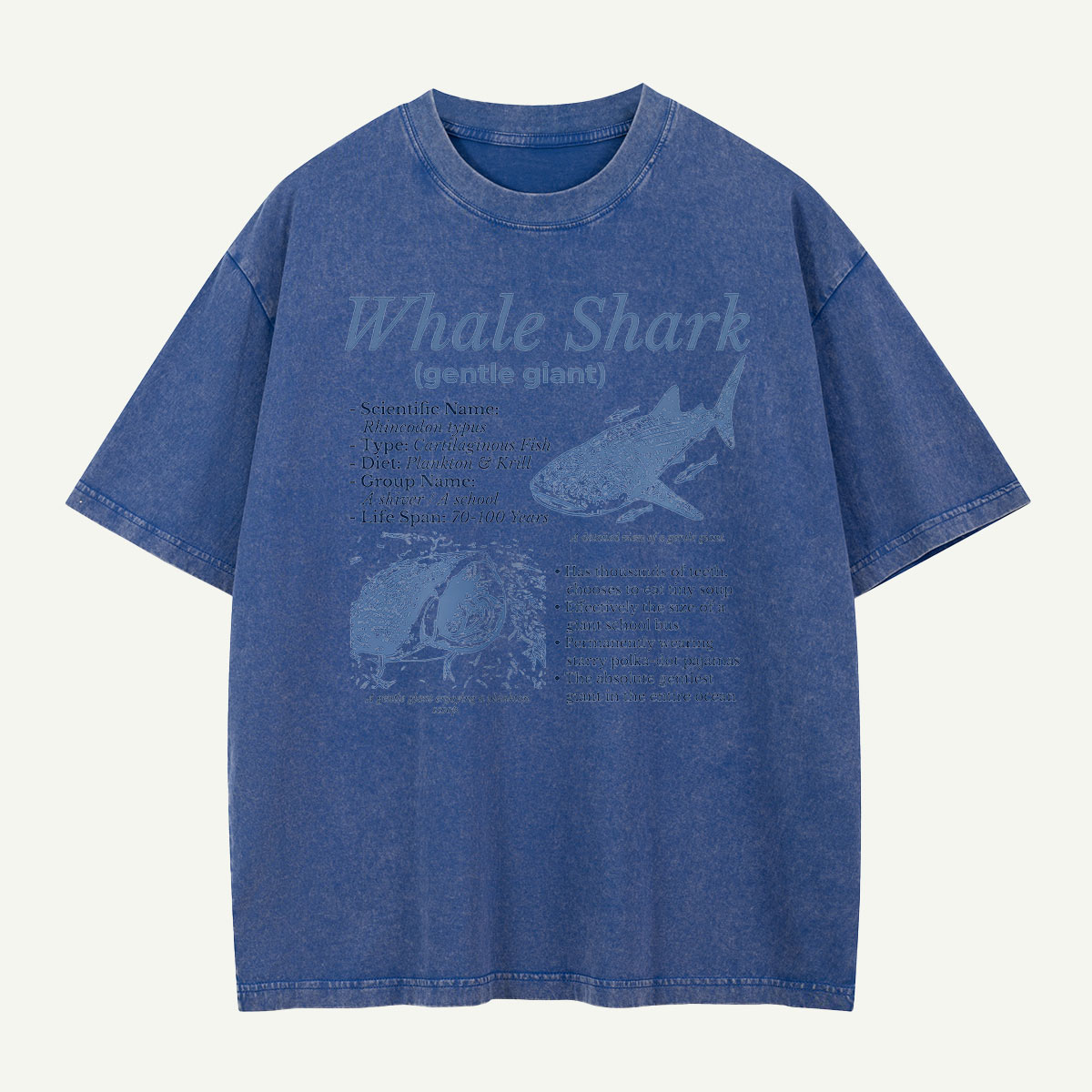 Meet the Gentle Giant Whale Shark Washed T-Shirt