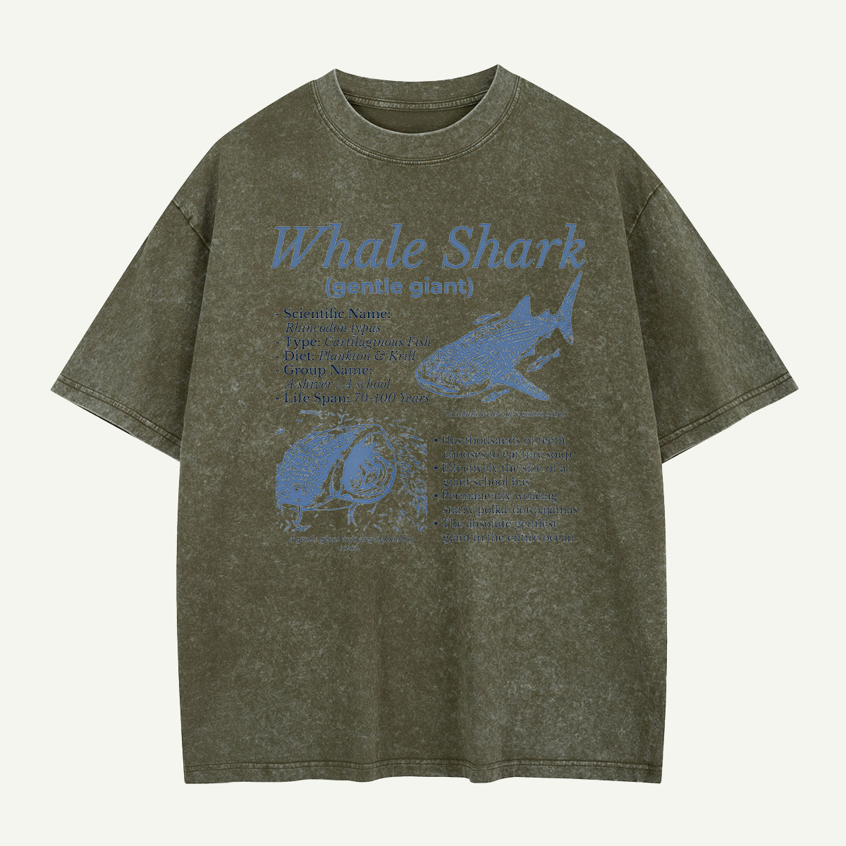 Meet the Gentle Giant Whale Shark Washed T-Shirt