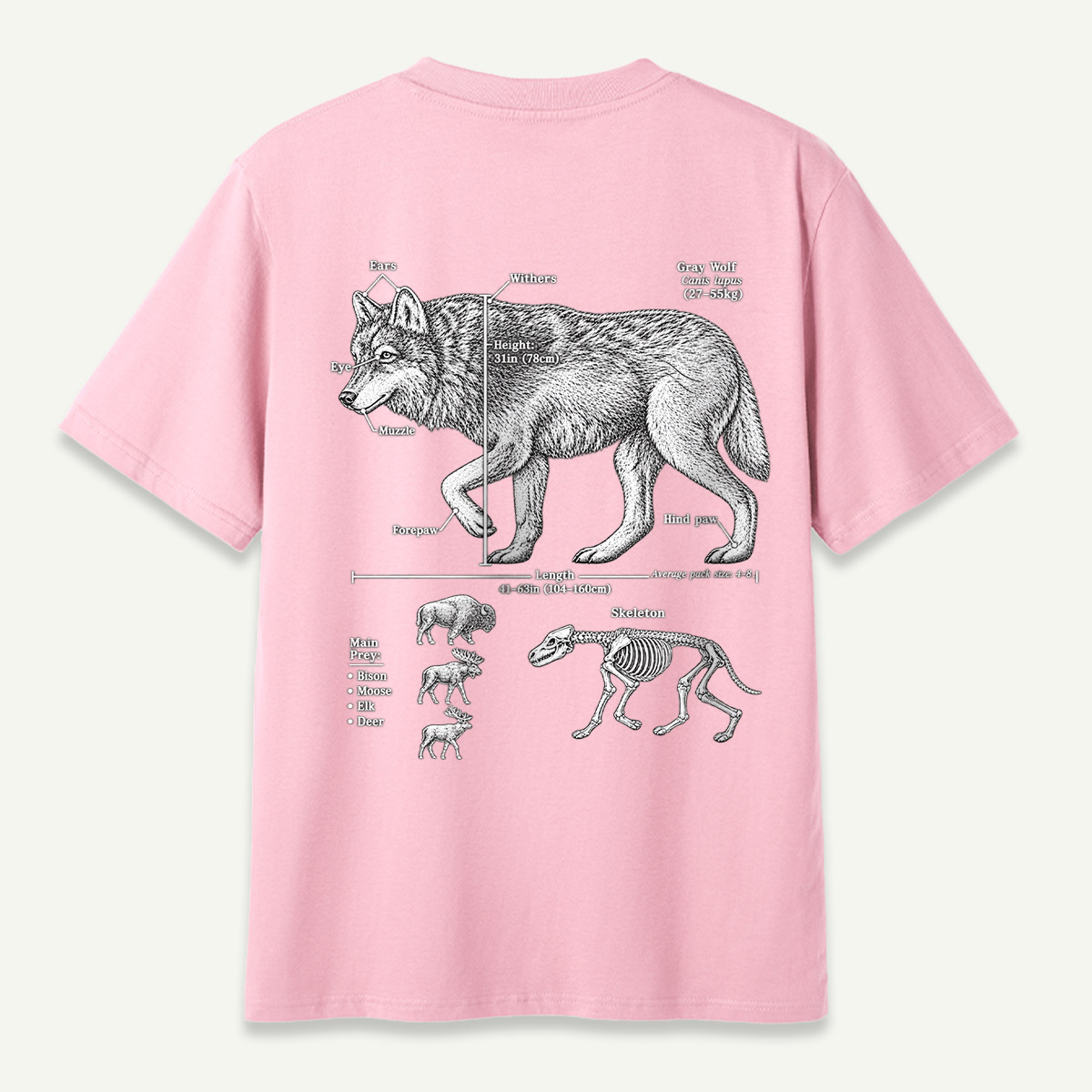 Wolf C Lupus Anatomy Diagram T-Shirt