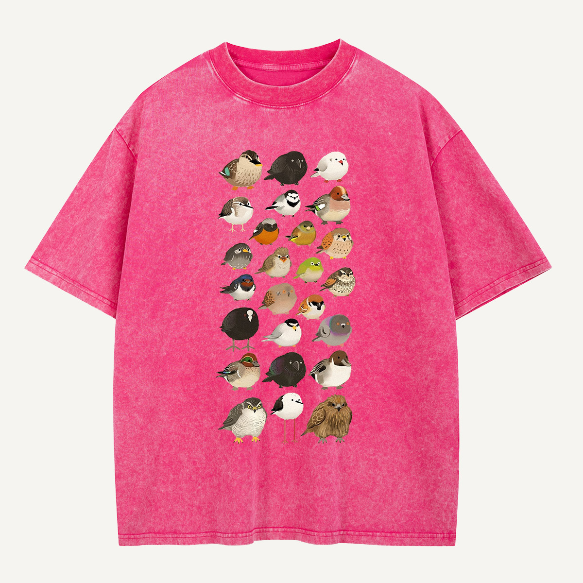 Bird Species Illustration Washed T-Shirt