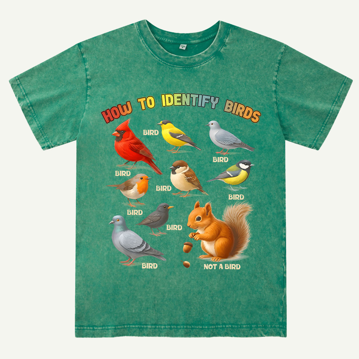 How to Identify Birds Washed T-Shirt