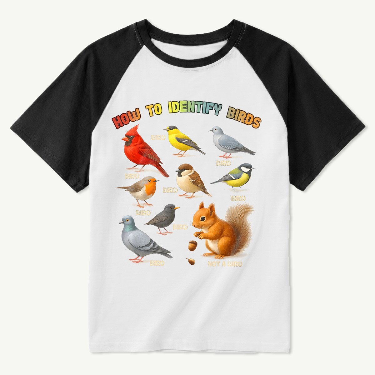 MDRTMMYSZMC26081317 Raglan T-Shirt