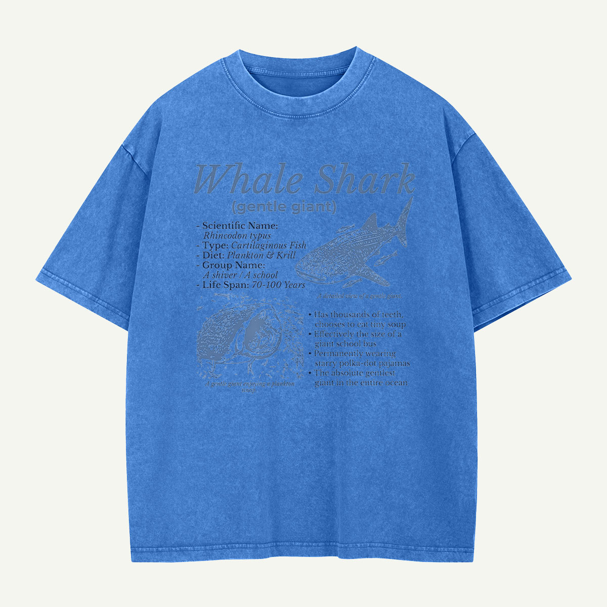 Meet the Gentle Giant Whale Shark Washed T-Shirt