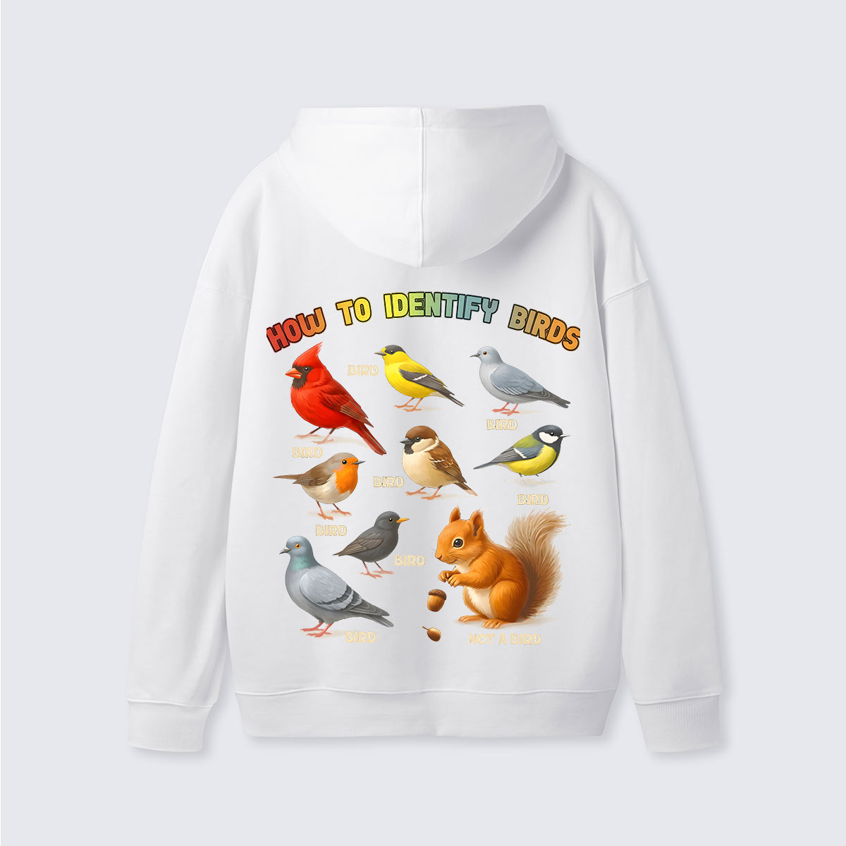 How to Identify Birds Hoodie
