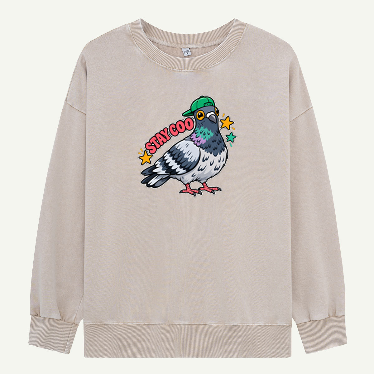 Funny Street Pigeon Graphic Washed Sweatshirts