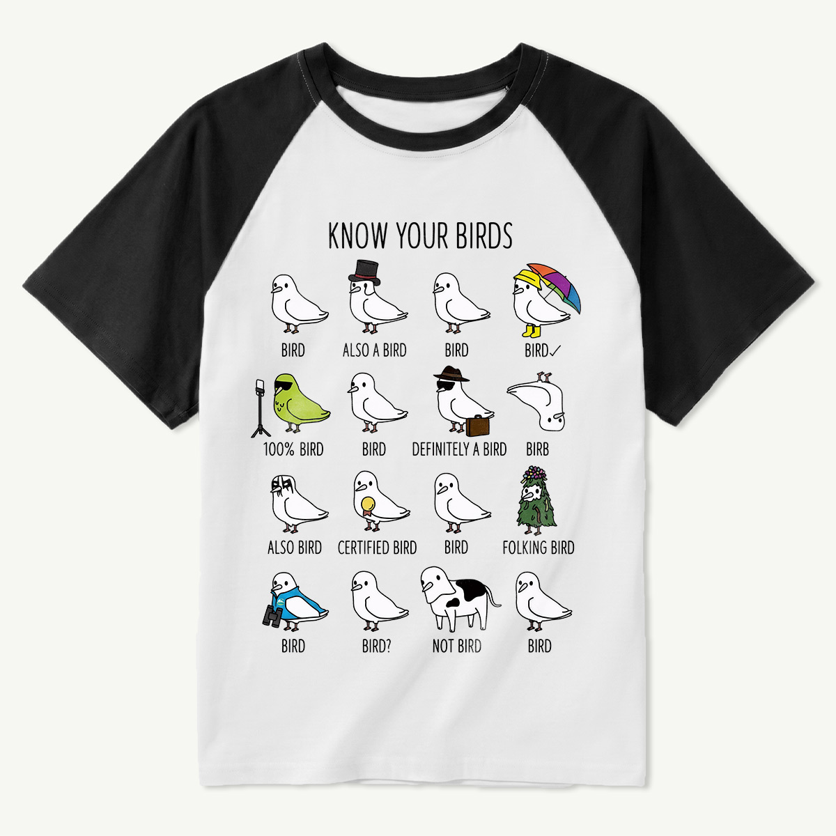 Know Your Birds Bird Chart Raglan T-Shirt