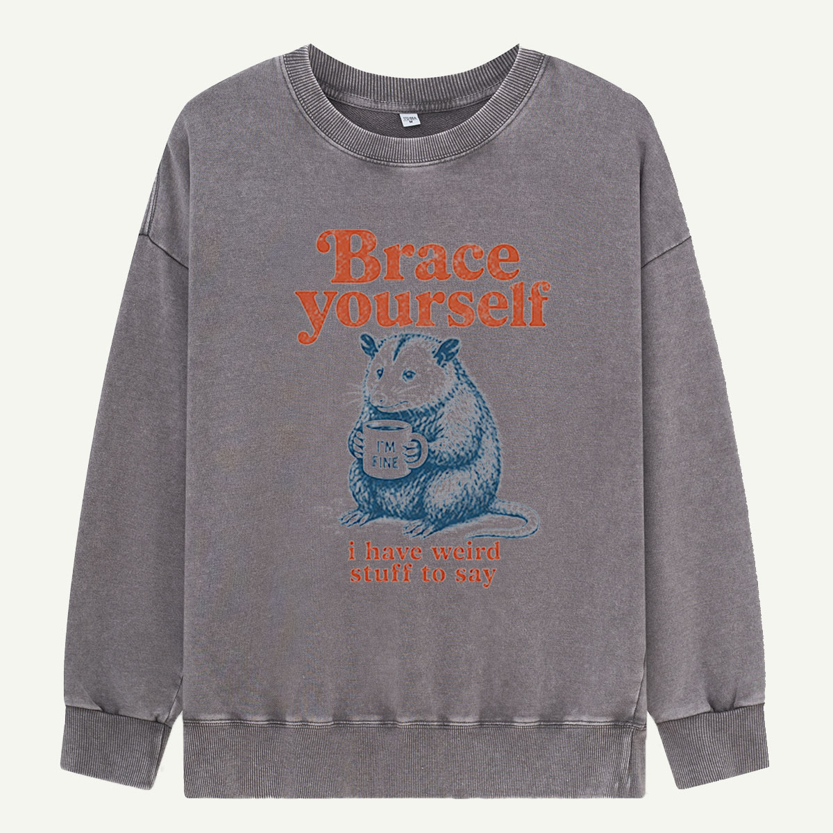 Brace Yourself, Opossum Has Thoughts Washed Sweatshirts