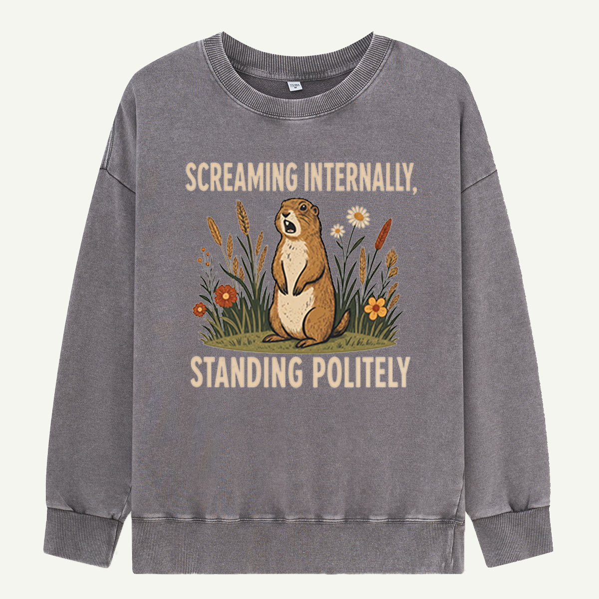 Screaming Internally, Standing Politely Washed Sweatshirts