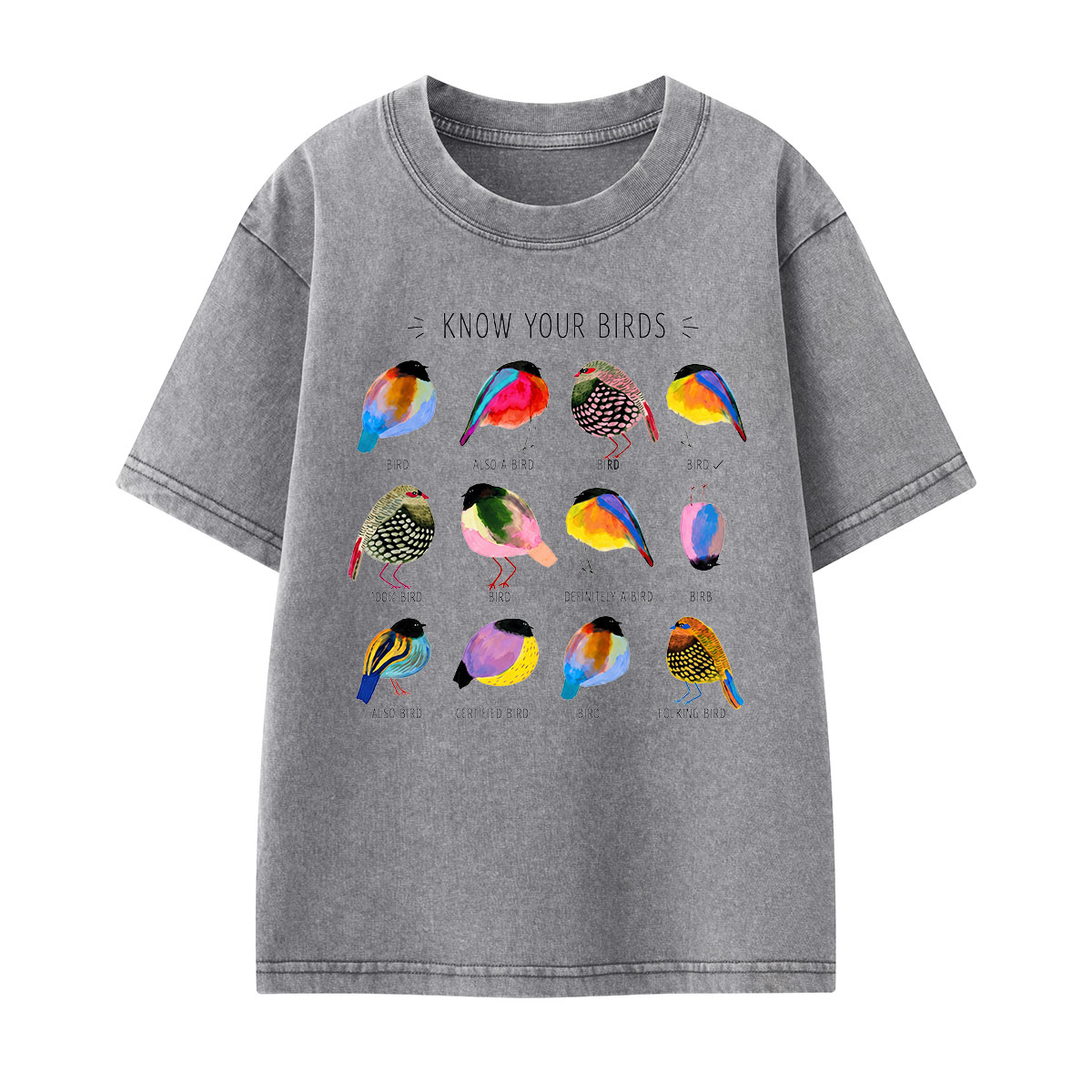 Colorful Bird Guide Kids Washed T-Shirt