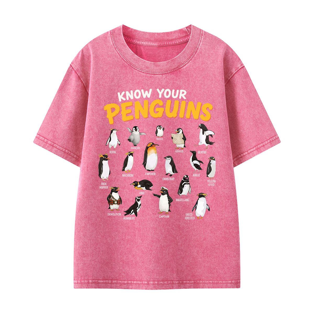Know Your Penguins Penguin Species Kids Washed T-Shirt