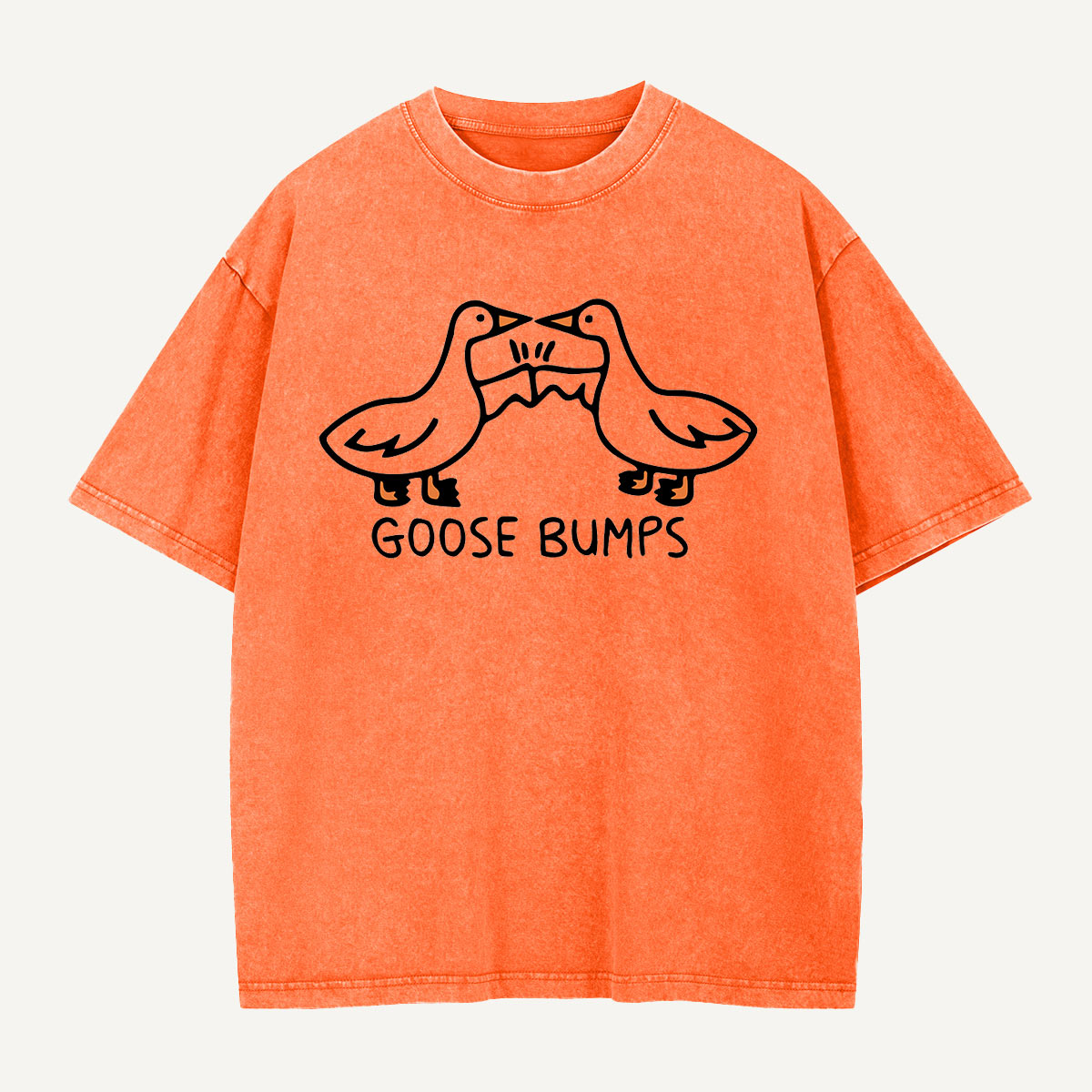 Certified Goose Bumps Washed T-Shirt