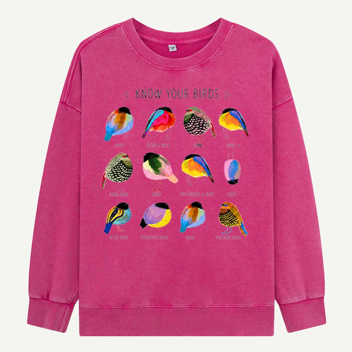 Colorful Bird Guide Washed Sweatshirts