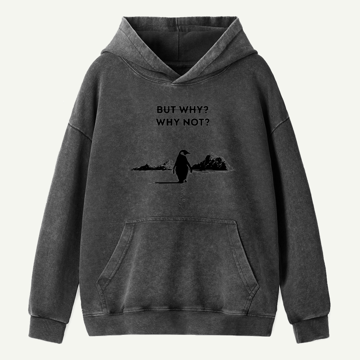 But Why Why Not Penguin Adventure Washed Hoodie
