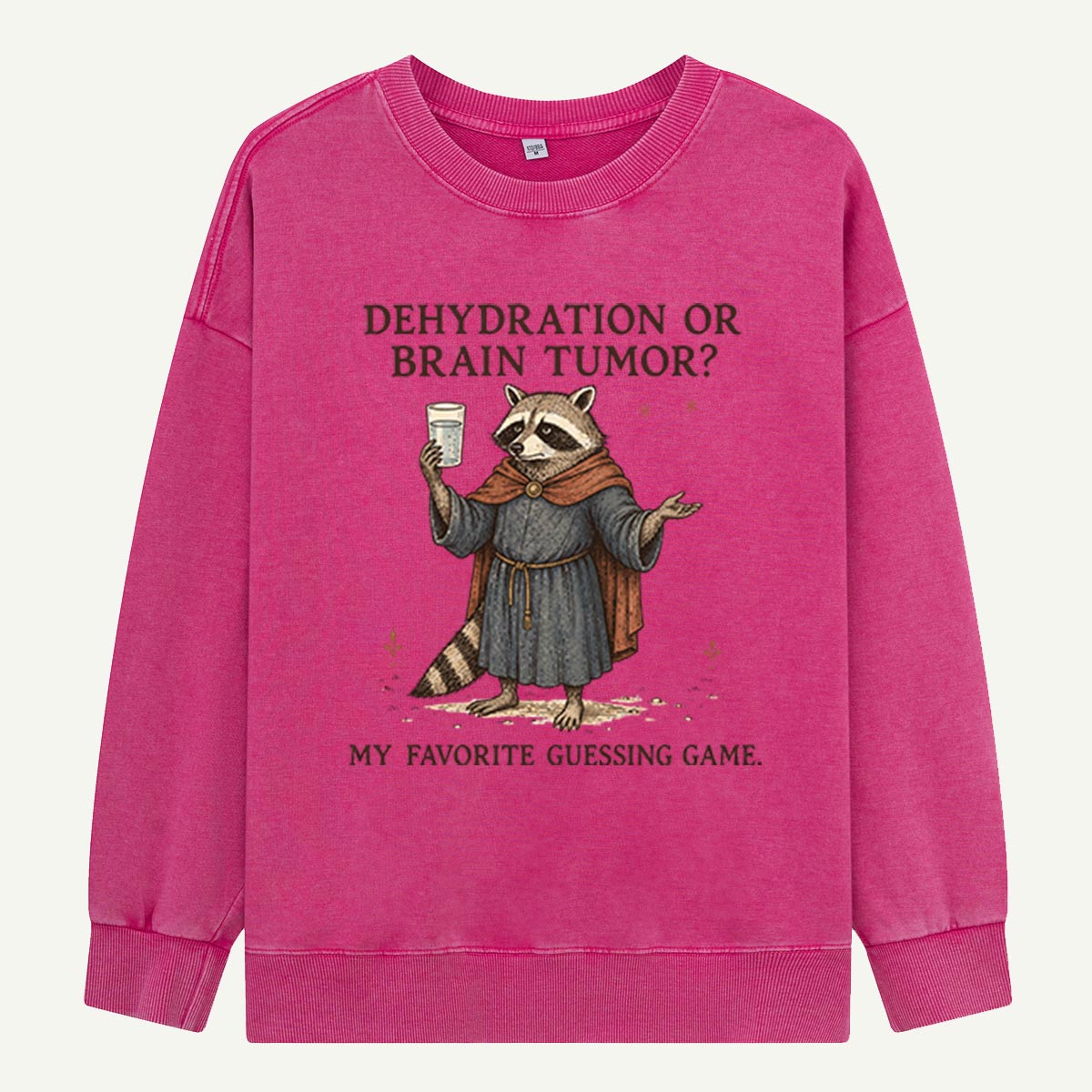 Raccoon’s Questionable Guessing Game Washed Sweatshirts