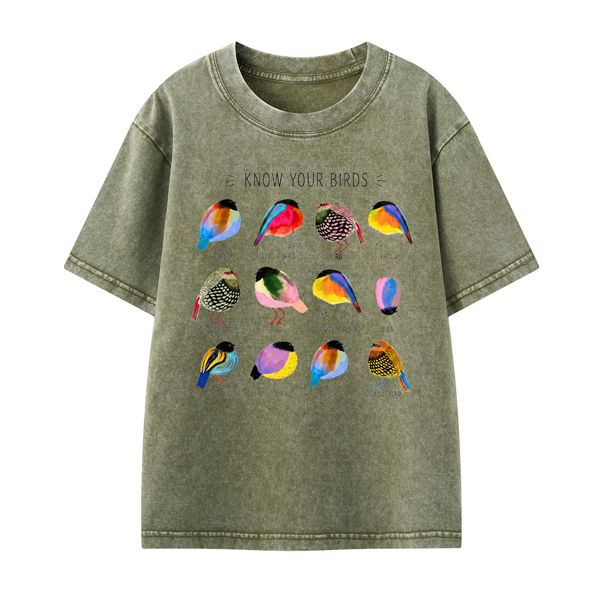 Colorful Bird Guide Kids Washed T-Shirt