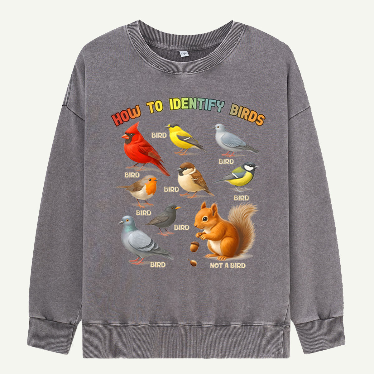 How to Identify Birds Washed Sweatshirts