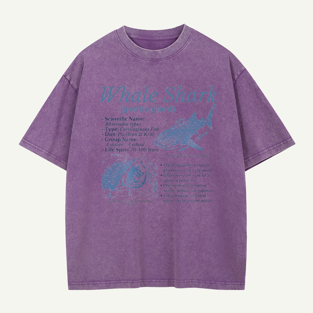 Meet the Gentle Giant Whale Shark Washed T-Shirt
