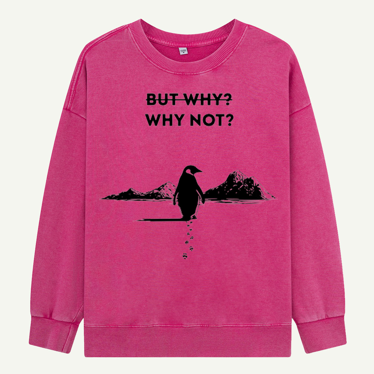 But Why Why Not Penguin Adventure Washed Sweatshirts
