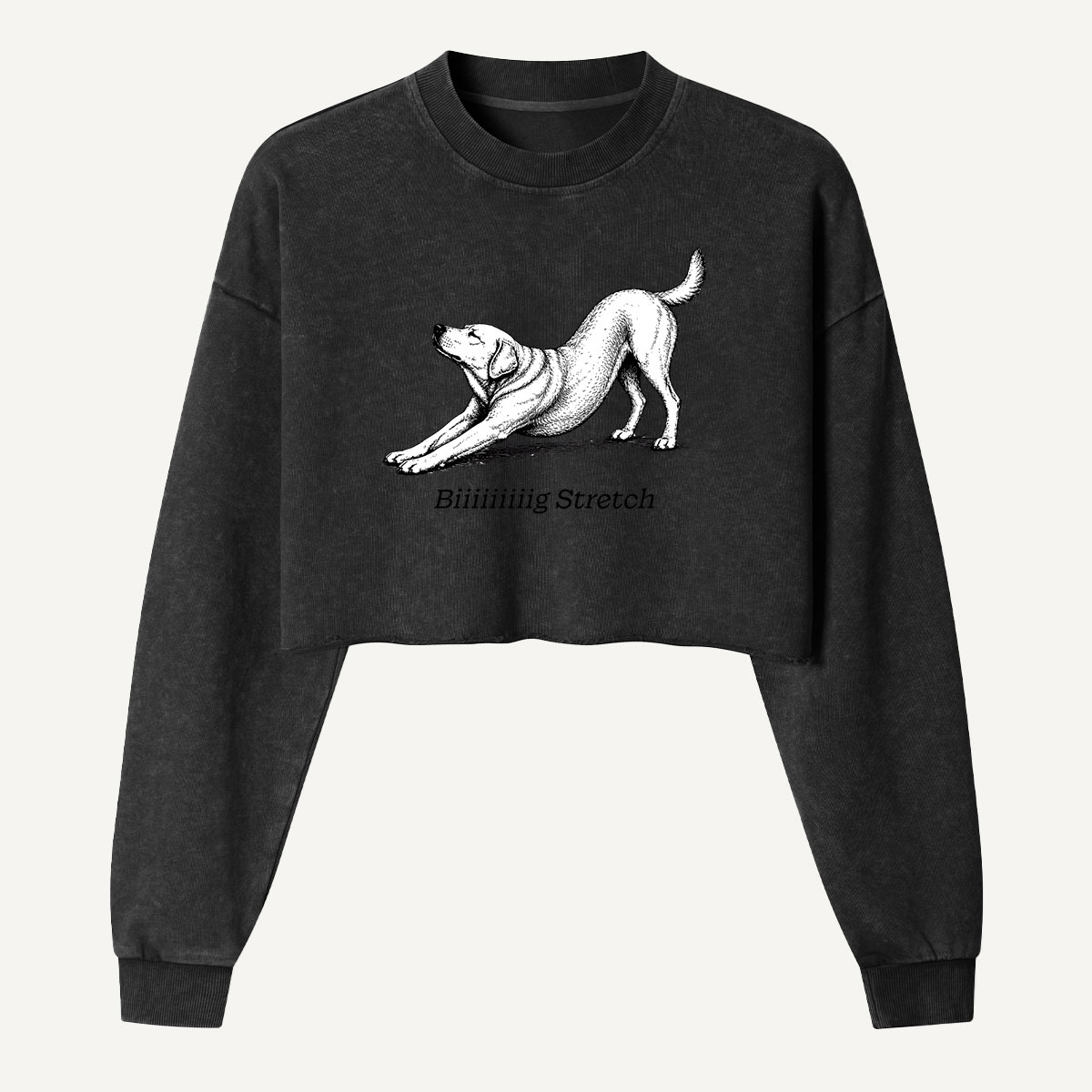 Downward Dog Stretching Hound Women's Washed Cropped Sweatshirt